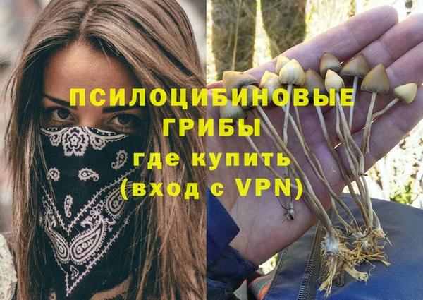 метадон Тутаев