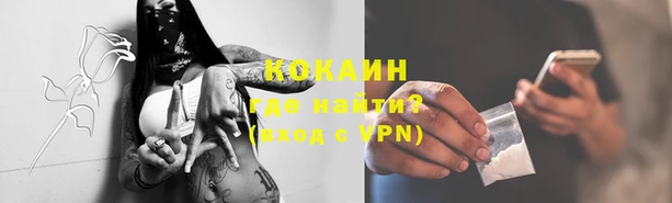 дживик Тында