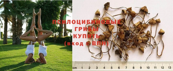 эйфоретик Балахна