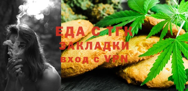 дживик Тында